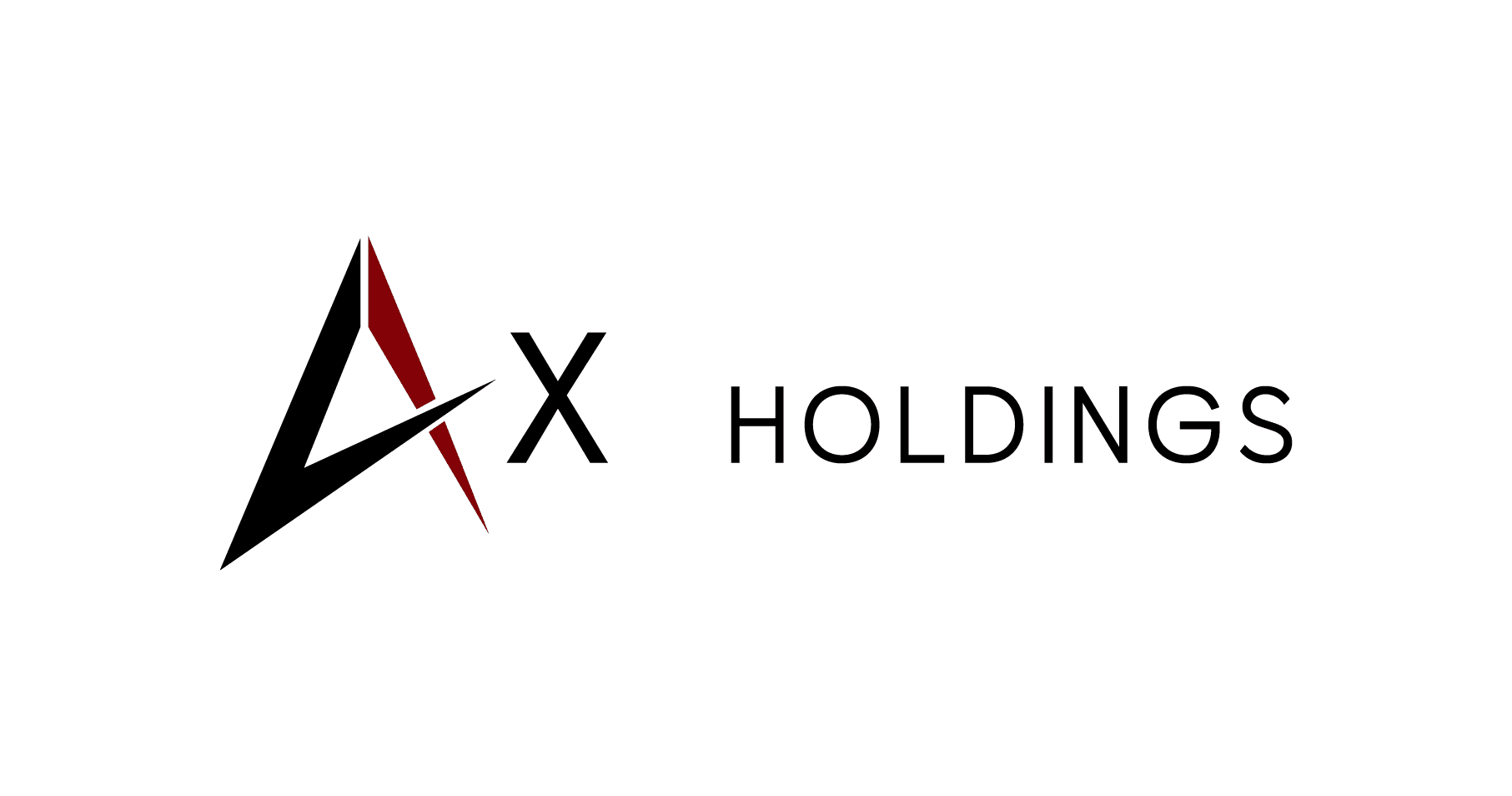 AX Holdings